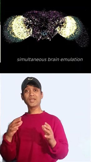 Scientists just copied a brain. Not simulated it. Copied it.