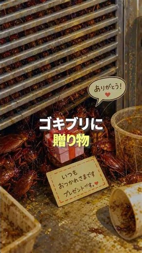 A Gift for the Cockroaches