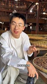 The process of making cat poop coffee Cat poop coffee also known as civet coffee or Luwak