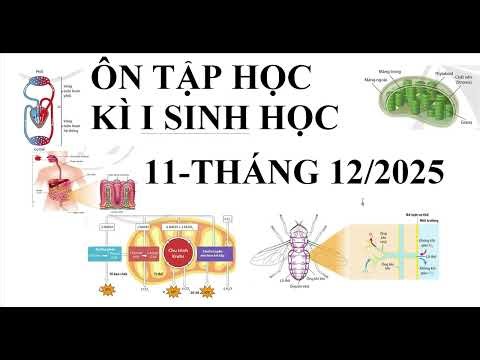 ÔN TẬP HỌC KÌ I SINH HỌC 11
