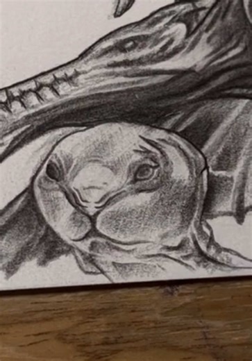 It’s so cute💕 #avatarfireandash #drawing #pandora #avatar #zukzuk | Draw