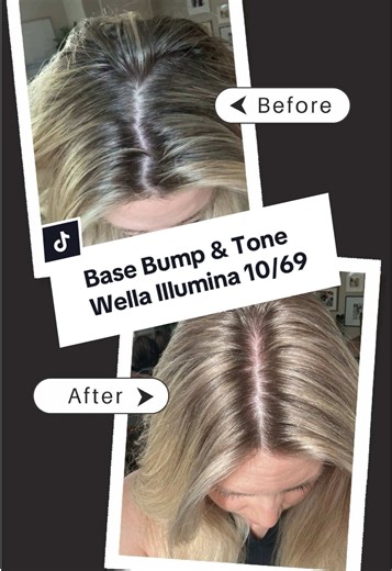 Base Bump & Tone with Wella Illumina 10/69