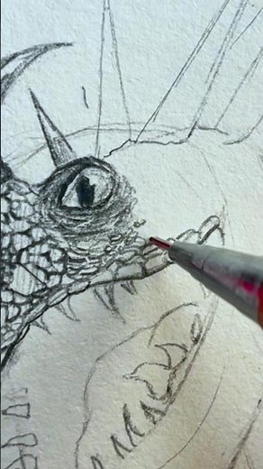 Stormfly drawing from httyd #drawing #httyd #stormfly #howtotrainyourdragon #music shorts