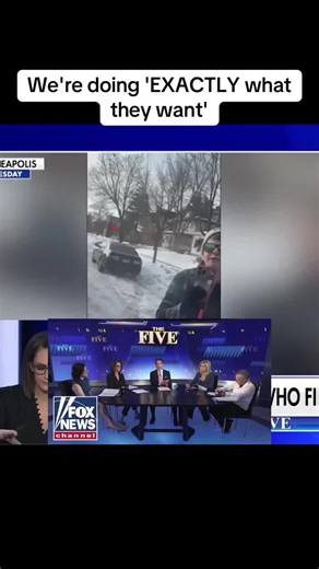 We're doing 'EXACTLY what they want'#hot #news #foxnews #podcast #trumd