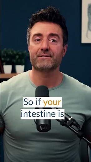 Reset your gut with an Elemental Diet