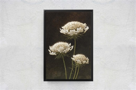 White Flower Canvas Print, Queen Annes Lace Art, Moody Botanical Painting, Dark Background Floral, Cottagecore Wall Decor - Etsy
