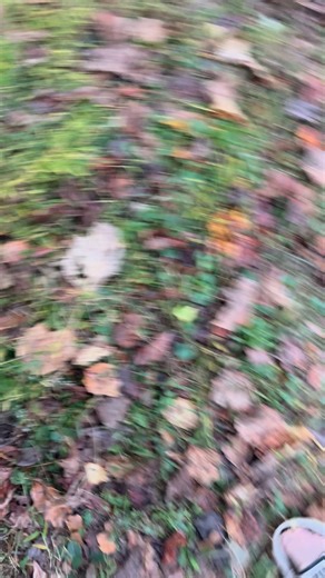 bonfire | Jacob Harrison | Facebook