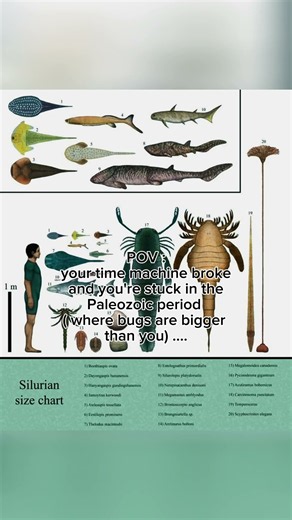 PALEOZOIC PERIOD 💀 WAS SOMETHING ELSEEE #HISTORY #facts
