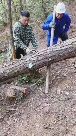 Mastering Chainsaw Techniques for Safe Operations