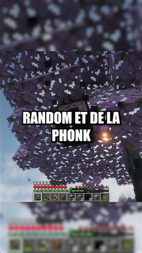 J'ai enfin eu un semblant de popularité ! #motivation