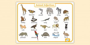 Animal Adjectives Word Mat