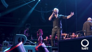 7.7K views · 372 reactions | What a night at lush! Classical 23 睊 We thank you…. This time next year  | Lush! Official | Facebook