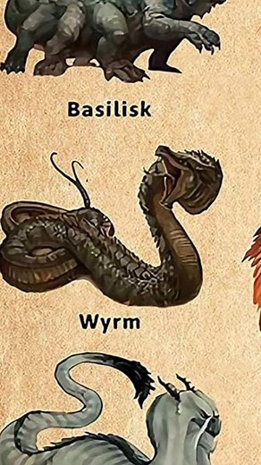 Types of Dragons Explained: Wyrm Species