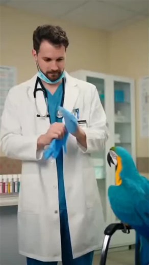 50 reactions | When Your Doctor Has a Parrot Problem #ParrotComedy #DoctorRoast #funnyanimals | Laughing Beak Clinic | Facebook