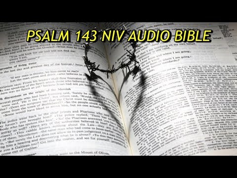 PSALM 143 NIV AUDIO BIBLE (with text)