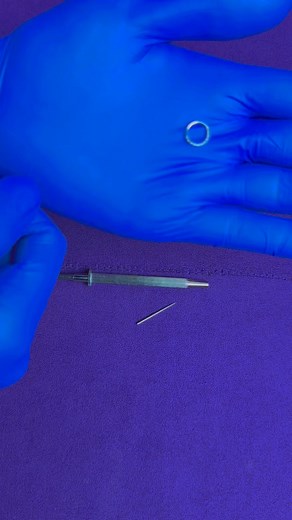 18K views · 86 reactions | Septum jewelleries ✨♥️ #new #fresh...