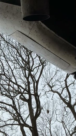 Ford f-250 2006, cold start 20 degrees.