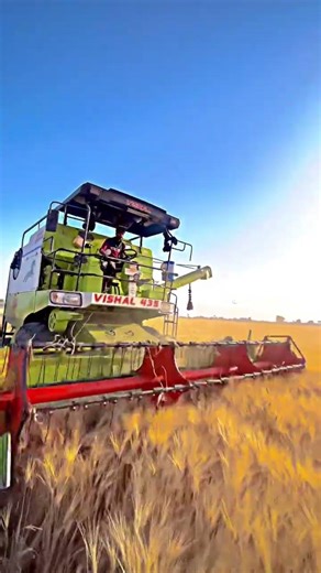 Vishal 435 Brisk Plus in Wheat Field | Vishal 435 Combine Harvester Working Video 2026