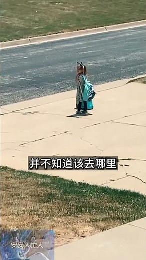 5岁女孩离家出走的故事（结局很赞） #搞笑 #记录生活 #人类幼崽迷惑行为