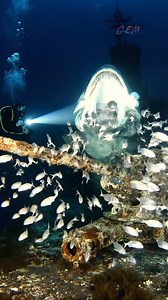 What the hell is happening right now? 😨 What kind of creature is this? #deepsea #ocean #drama #unexpected #viralvideo #hunting #fish | DeepBlue Unknown