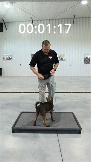 🔥 1-Minute PLACE Command Challenge — Can Your Dog Do It? 🔥 “Think your dog can stay in place for ONE minute? Most can’t… until you try this.” 👀🐾 The Place Command is one of the MOST powerful tools you can teach your dog — for calmness, structure, and real-world obedience. Today, we’re challenging YOU and your dog to the 1-Minute Place Challenge. No distractions? Easy. Doorbells? Kids? Other dogs? Now it gets real. Show us what your dog can do! 👇🔥 #IdahoEliteK9 #1MinuteChallenge #PlaceComma