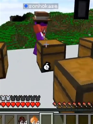 Stick Encantado: Aventuras Malucas no Minecraft