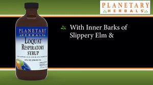 Planetary Herbals Loquat Respiratory Syrup,4 Fluid Ounce