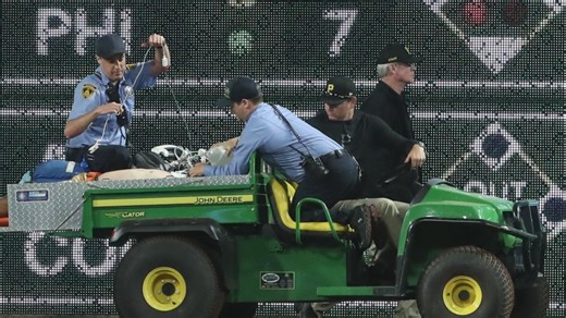 Pirates manager, fans react to fan falling onto field during game