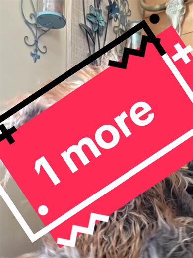 1 more thing puppet,funny, jokes, comedy #jokes #puppet #fyp #funny #dog