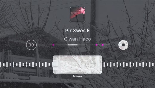 Ciwan Haco: A Journey Through Kurdish Music