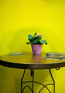 How to Apply a Wash Over a Bright Paint Color to Tone It Down