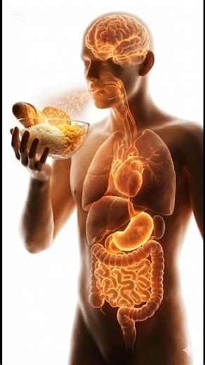 Carbohydrates BoostbEnergy & Focus | 3D Animation.