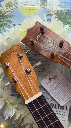 Over 100 years of ukulele history in one frame. On the right, an original ukulele built by Manuel Nunes, one of the Portuguese luthiers who first brought the machete to Hawai‘i and gave birth to the ukulele as we know it. On the left, our brand new Kanileʻa Islander, crafted by the Souza family, whose roots also trace back to Portugal, and built with the same spirit of aloha and tradition. From its humble beginnings in the 1880s to the vibrant sound of today, the ukulele carries with it stories