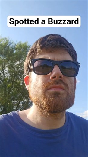 A busy Buzzard! #fyp #birds #explorenow