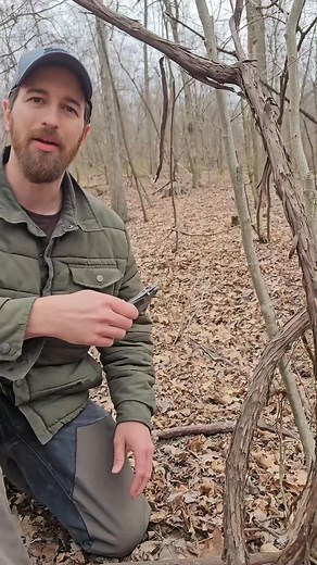 28 reactions | Drinking water from a grape vine #fyp #survival #outdoors #selfreliance | Shakira Mcgee | Facebook