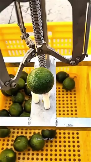 😁🙌🏻 #How T Fake Tan Ur Face #3dar_coppy_link_plz #how #fypシ