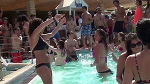 Real life cam - Live & fun - Live 24\7 free