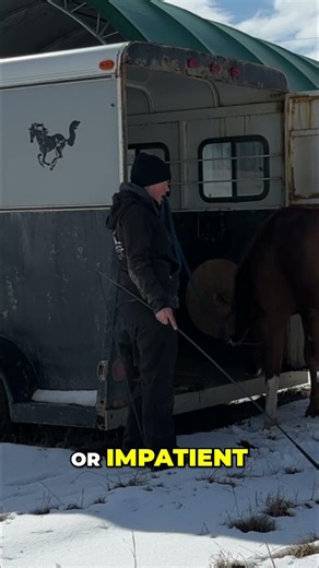 How I Keep Trailer Loading Calm and Simple #coltstarting