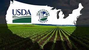 The Changing Face of American Agriculture: Insights from the 2022 USDA Census of Agriculture - National Trends - farmdoc