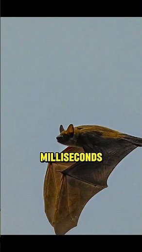The Bat That Sees With Sound – Mind-Blowing Echolocation Explained! 🦇🎧