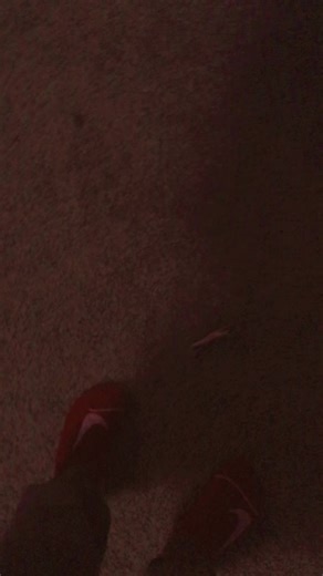 realfairy1900 (@realfairy1900)’s videos with original sound - amber