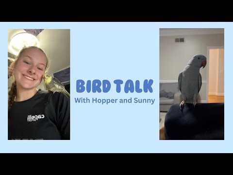 Tips and Tricks of getting your parrots to speak