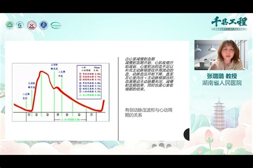 ABP原理及波形 张璐璐