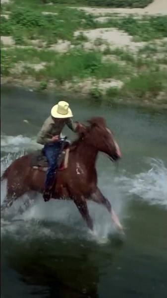 This Ain't Banner's First Rodeo! | The Incredible Hulk #shorts