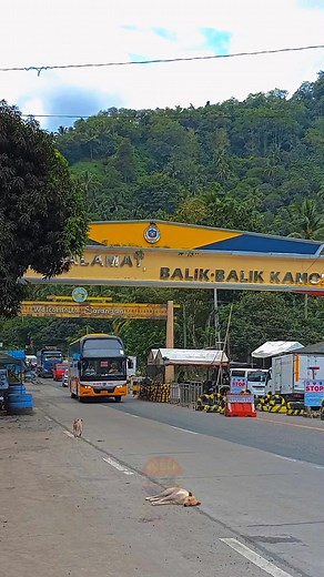 112K views · 4.2K reactions | YELLOW BUS LINE A-029 Bus Classification: "Executive Class" Manufacturer: Zhongtong Bus Holding Co., Ltd.. Model: Zhongtong LCK6128H "Magnate". Engine: Yuchai YC6L330-30 #BusSpottingPH #busspotter #MBS #busspotting | MBS•Mindanao Bus Spotter | Facebook