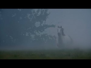 Wildfire featuring Cody Johnson (Official Video)