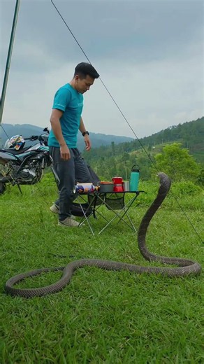 The snake ran away scared of the man 😱