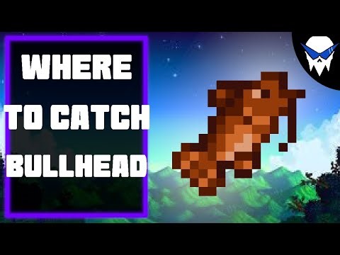 Stardew Valley – How to Catch Bullhead (Best Spots & Simple Tips)