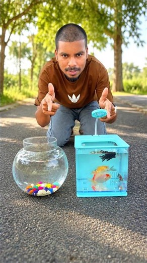 fish tank ￼& Electric fish tank, testing and unboxing