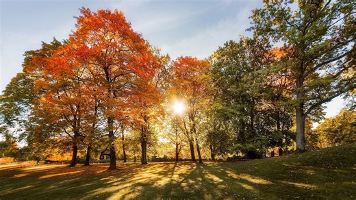 Sept. 22 is the autumnal equinox: What to know